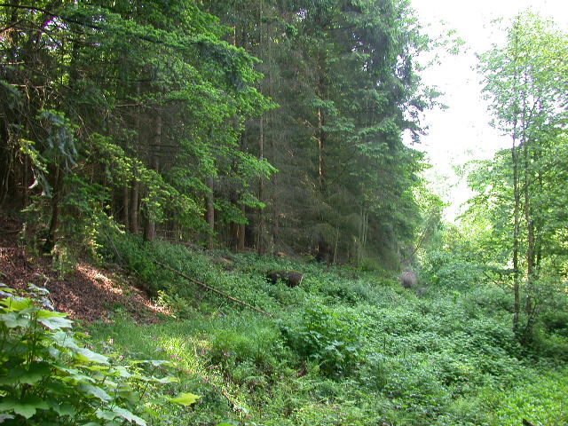 Uscita domenicale...